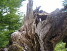DSCF6033