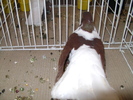 Picture 043