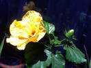 11-07-09_142821