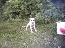PICT0149