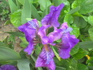 Imag020