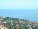 DSCN2429