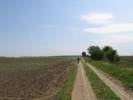 IMG_0921[2]