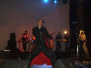 concert (14)