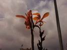 Foto0380