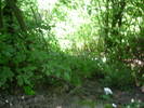 DSCN3300