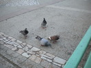 DSCN0166