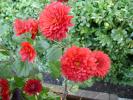 DSC00340