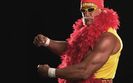 hulkster[1]