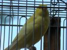 DSC00448