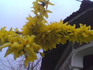 Imag017