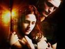 bella and edward