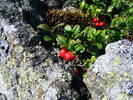 DSCF4480