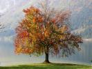 49_1024[1]