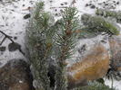 DSCF2188