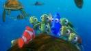 finding_nemo_8