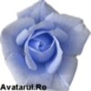 avatar_10[2]