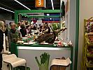 DSC03355