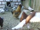 DSC01312