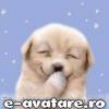 avatare_gratuite_606d6b78567ecd3e1b6983a1e8c19122