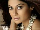 Shamita_Shetty_1256003536_0