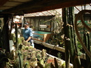 DSC06184
