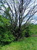 DSCF0552