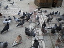 DSCN0126