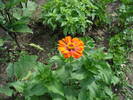 Picture 7969