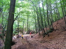 DSCF4887