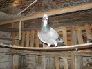 DSC02441