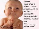 www_poze-haioase_ro__1212600738_342266