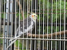 IMG_0264