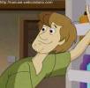 Shaggy