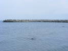 Picture 022