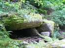 DSCF5158