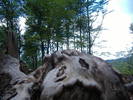 DSCF6047