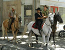 dona_barbara_3539web_galeria_landscape