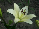 DSCI0642