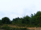 DSCF5432
