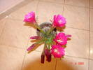 DSC06188