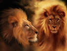 NATURE1