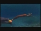 Mermaid-with-Dolphin-season-3-h2o-just-add-water-8239951-120-90