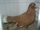 SANY0131