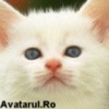 avatar_18