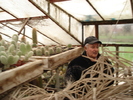 Kovacs Zoltan