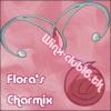 Copie (2) a charmix3