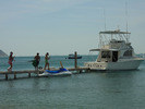 barco01___484x363