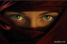 beautiful hijabi (123)