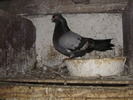 P9061482